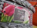 Oválný košík s tulipány4